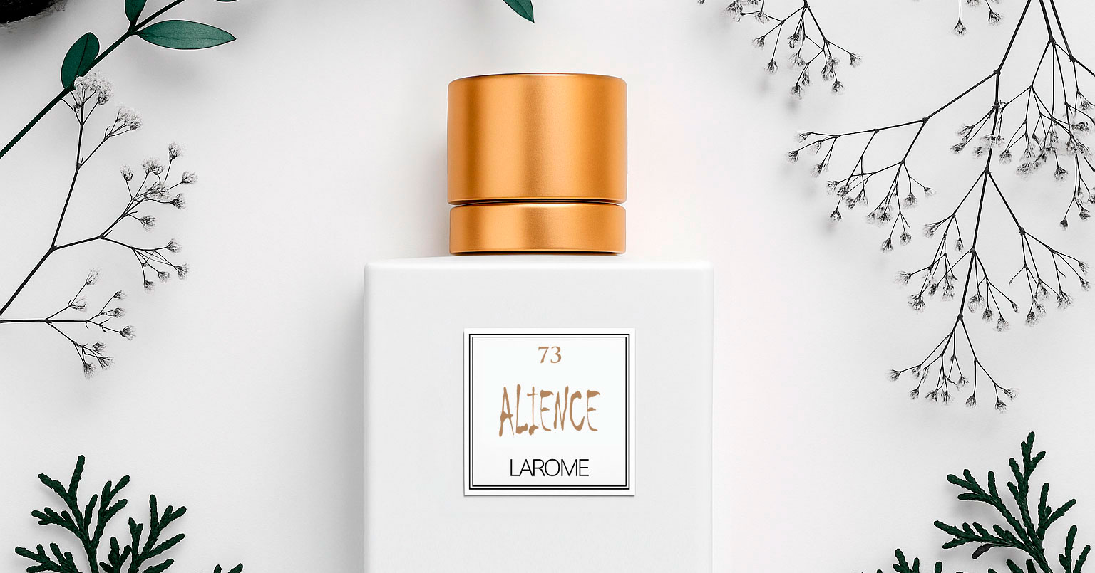 Perfumes femeninos de equivalencia duraderos y baratos con notas frescas, florales y amaderadas. Descubre fragancias inspiradas en la alta perfumería con excelente fijación y sofisticación